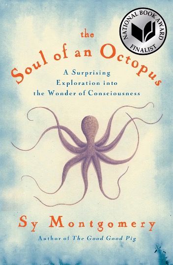 SoulofanOctopus1